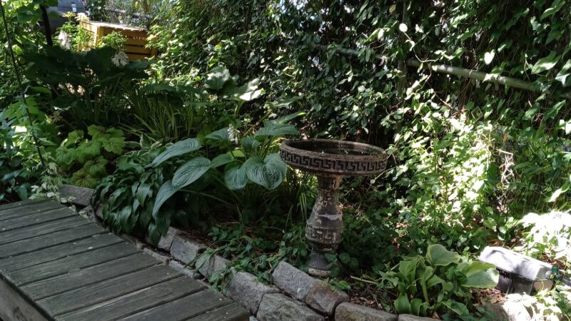 FishBridge Park Garden - New York, NY