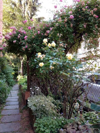 FishBridge Park Garden - New York, NY