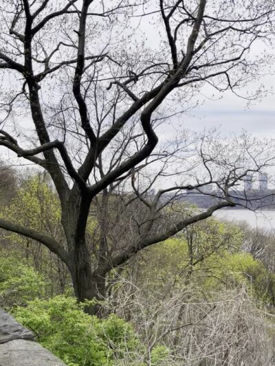 Fort Tryon - New York, NY