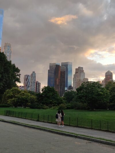 Frisbee Hill - New York, NY