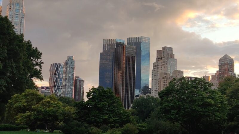 Frisbee Hill - New York, NY