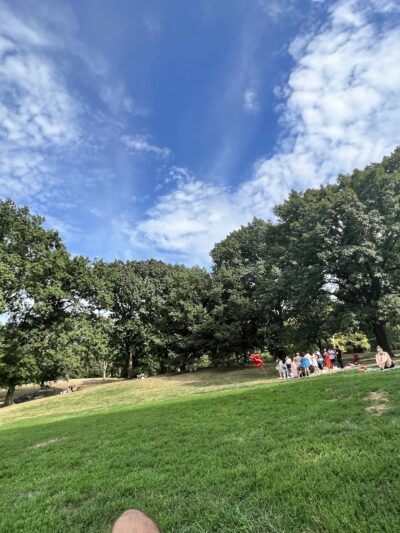 Frisbee Hill - New York, NY