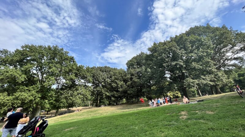 Frisbee Hill - New York, NY