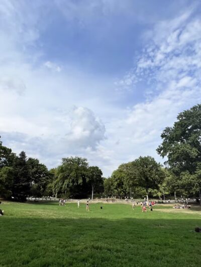 Frisbee Hill - New York, NY