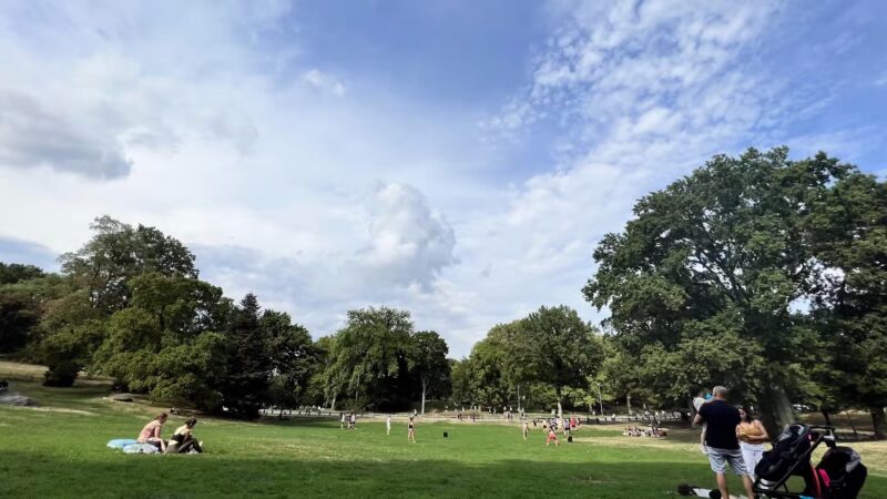 Frisbee Hill - New York, NY