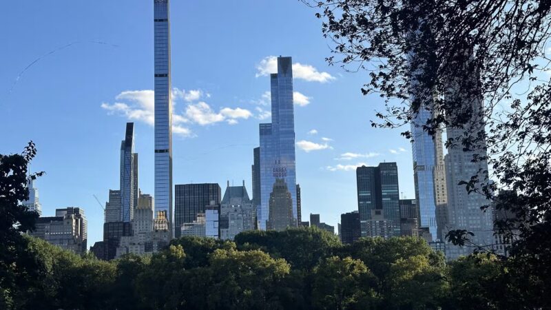 Frisbee Hill - New York, NY