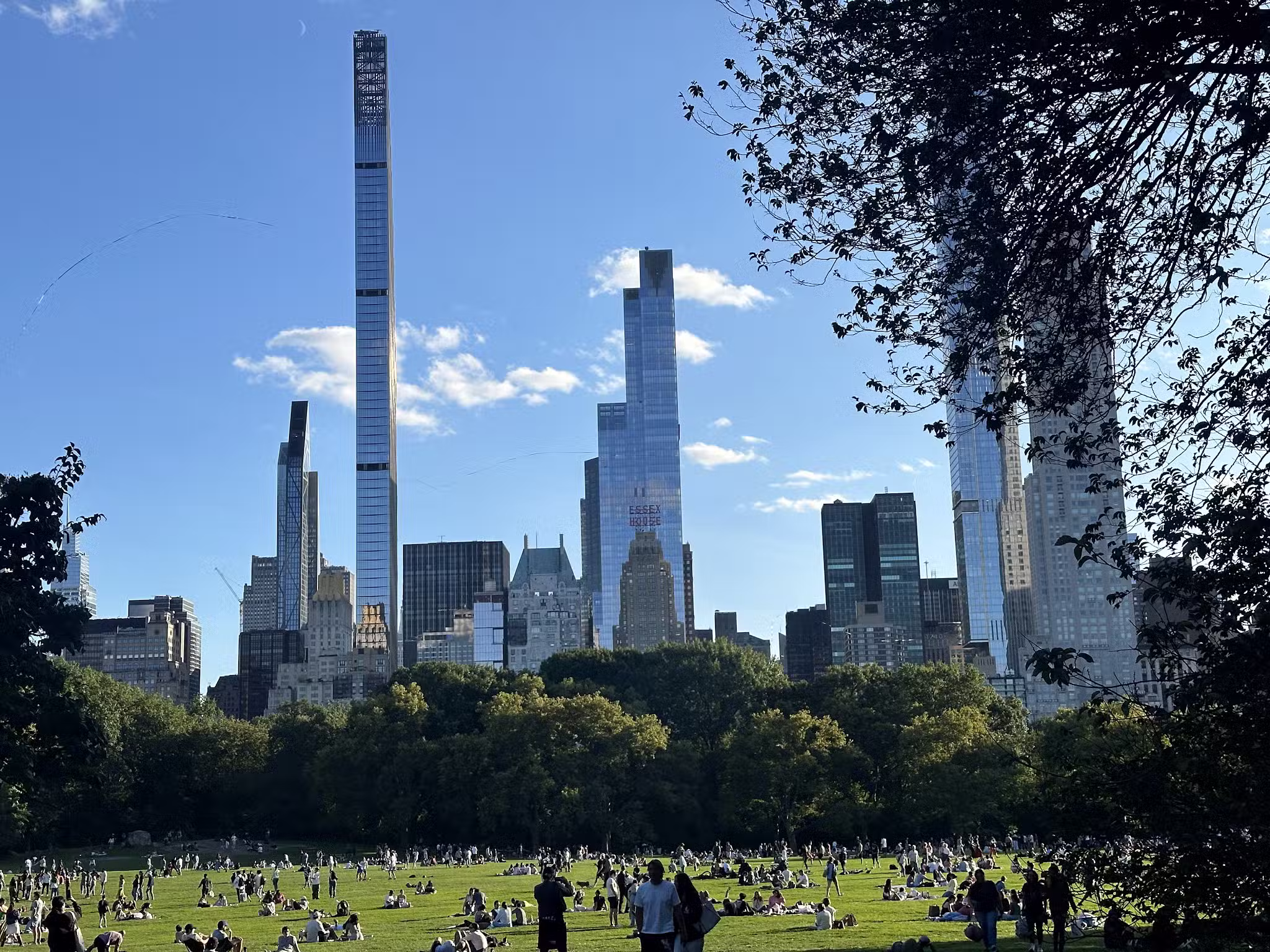 Frisbee Hill - New York, NY