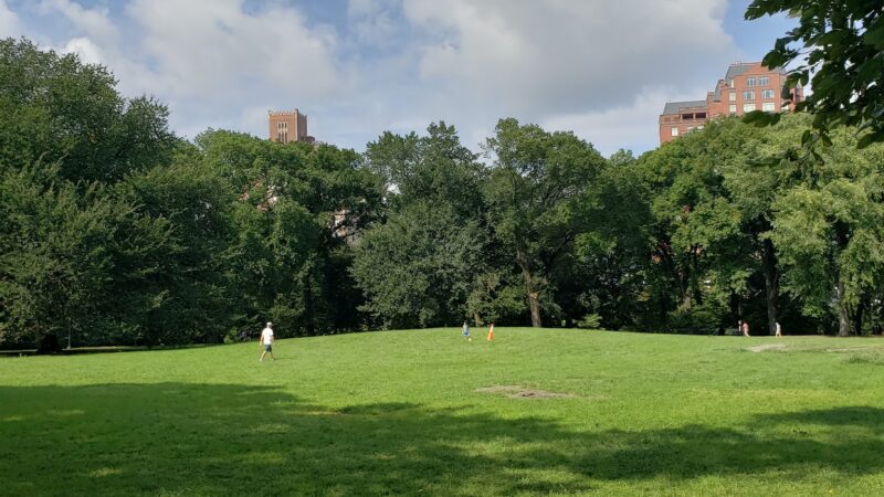 Great Hill - New York, NY