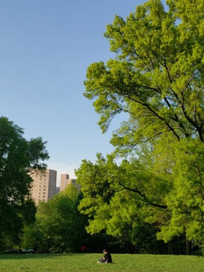 Great Hill - New York, NY