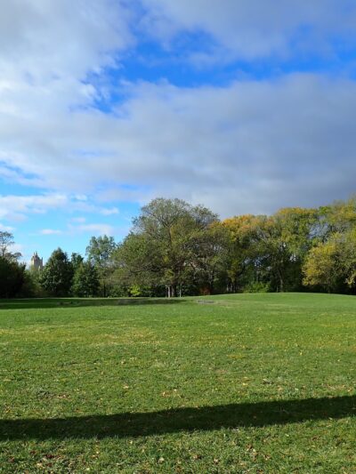 Great Hill - New York, NY