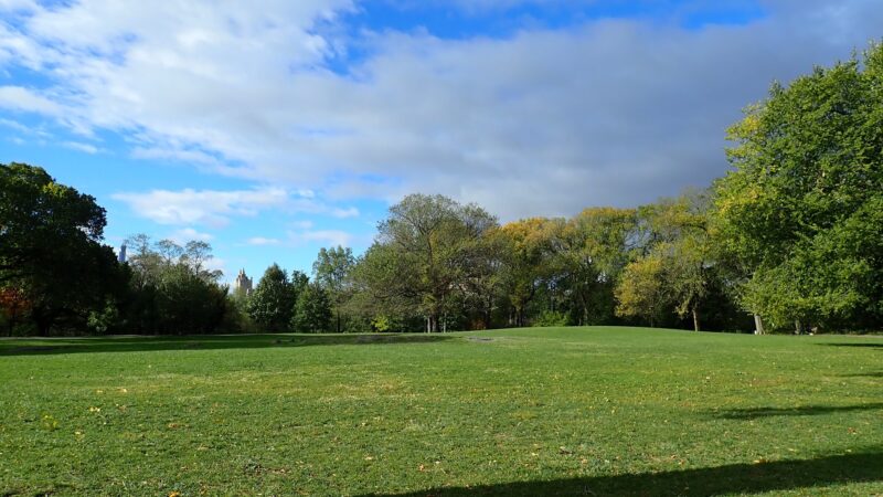 Great Hill - New York, NY