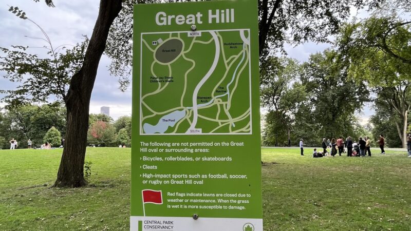 Great Hill - New York, NY