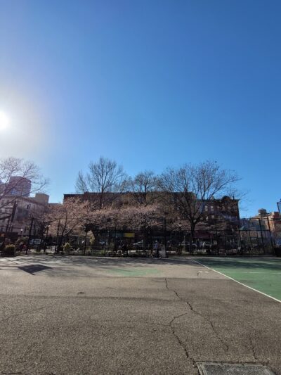 Hell's Kitchen Park - New York, NY