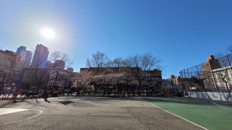 Hell's Kitchen Park - New York, NY
