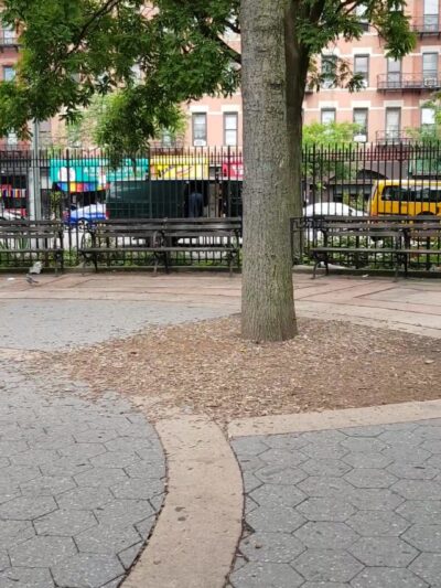 Hell's Kitchen Park - New York, NY