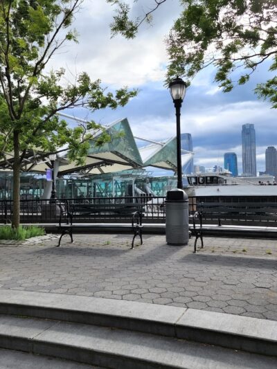 Lily Pond - New York, NY