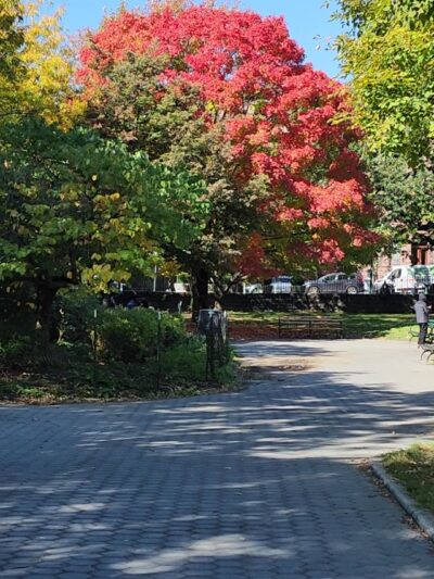 Marcus Garvey Park - New York, NY