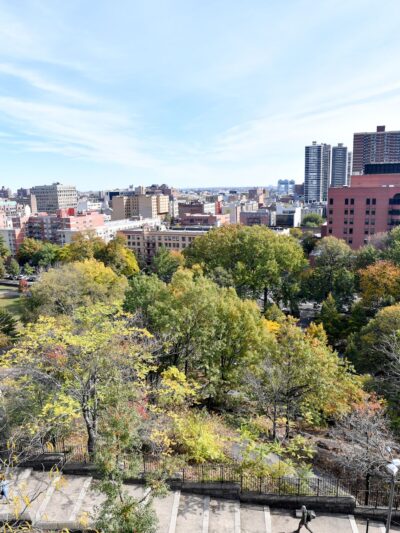 Marcus Garvey Park - New York, NY