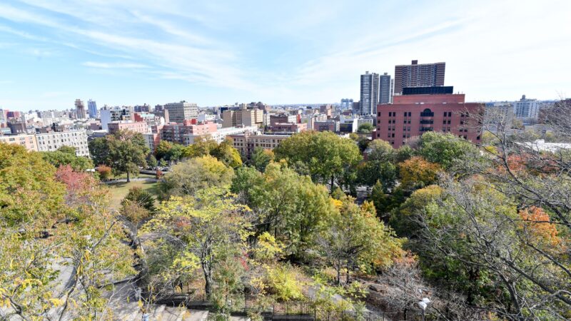 Marcus Garvey Park - New York, NY