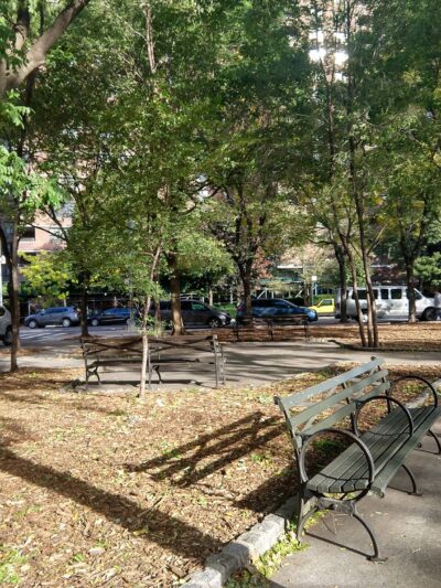 Montgomery Triangle Park - New York, NY