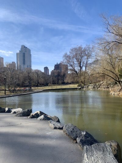 Morningside Waterfall - New York, NY