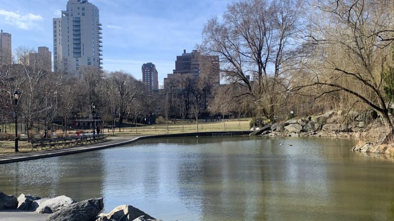 Morningside Waterfall - New York, NY