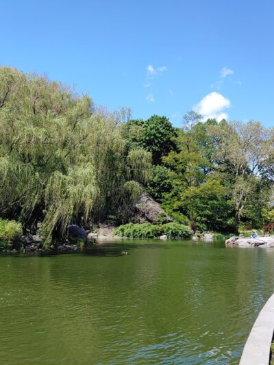 Morningside Waterfall - New York, NY