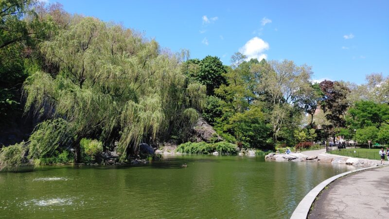 Morningside Waterfall - New York, NY