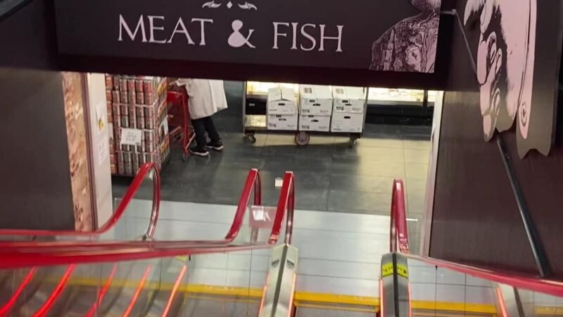 MORTON WILLIAMS SUPERMARKETS - New York, NY