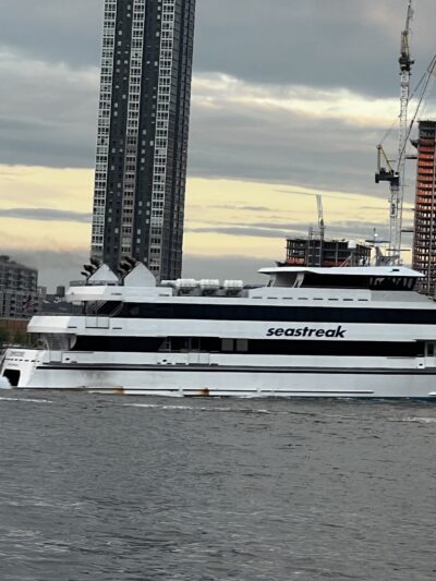 New Wave Pier Dog Run - New York, NY