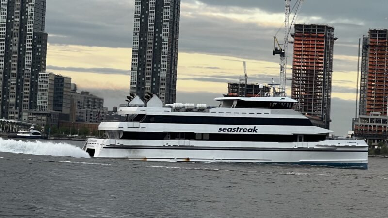 New Wave Pier Dog Run - New York, NY