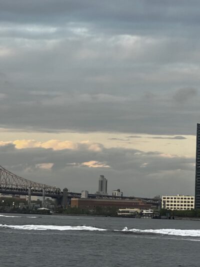 New Wave Pier Dog Run - New York, NY