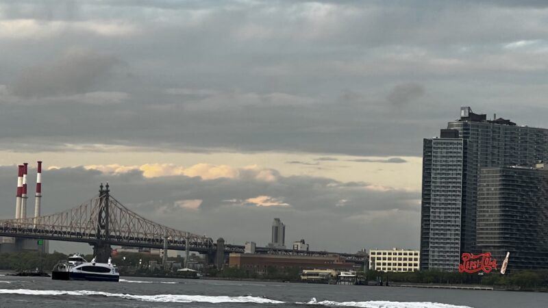 New Wave Pier Dog Run - New York, NY