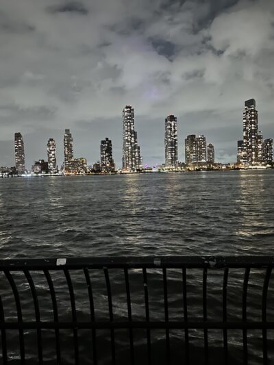 New Wave Pier Dog Run - New York, NY