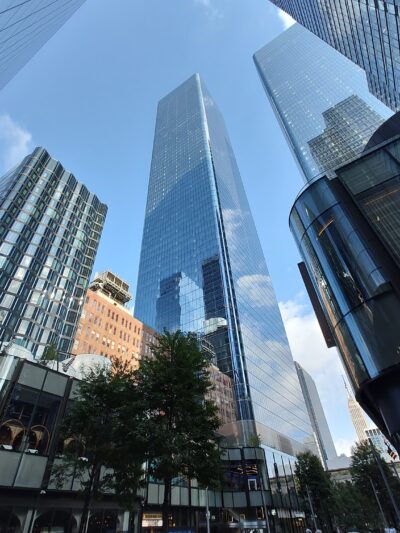 New Wave Pier Dog Run - New York, NY
