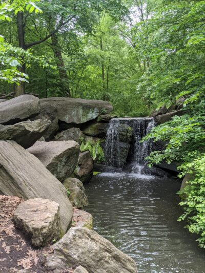 North Woods - New York, NY