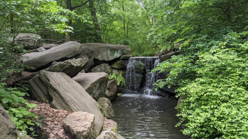 North Woods - New York, NY