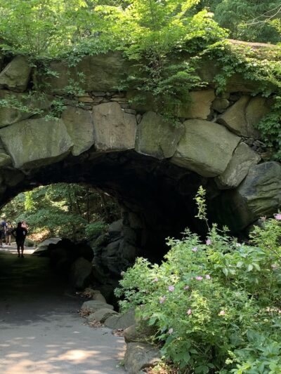 North Woods - New York, NY