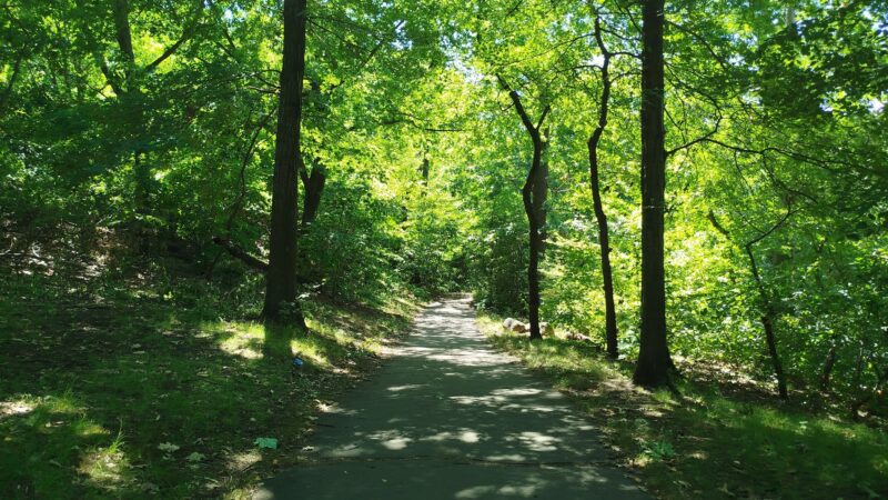North Woods - New York, NY