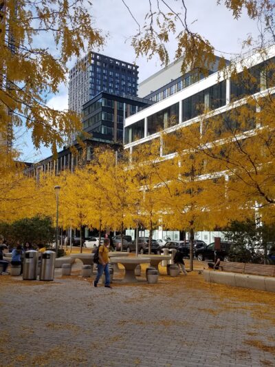 Park - New York, NY