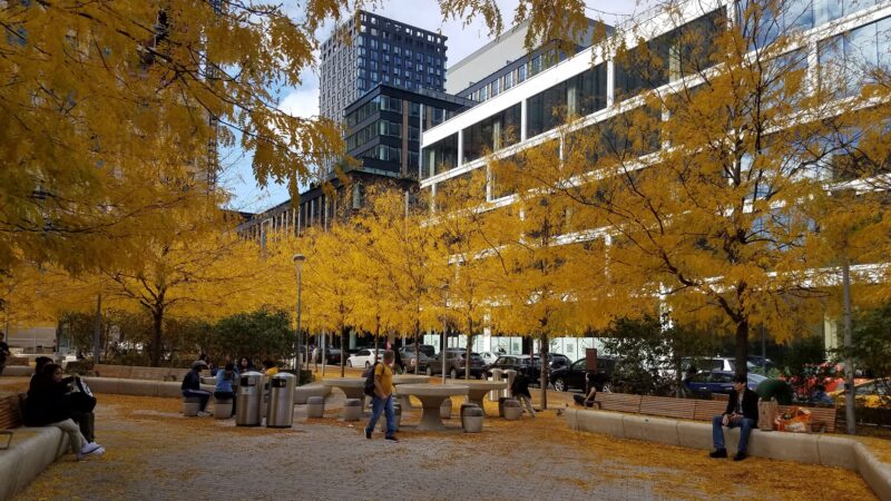 Park - New York, NY