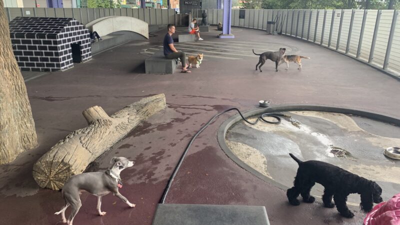 Parks Dog Run - New York, NY