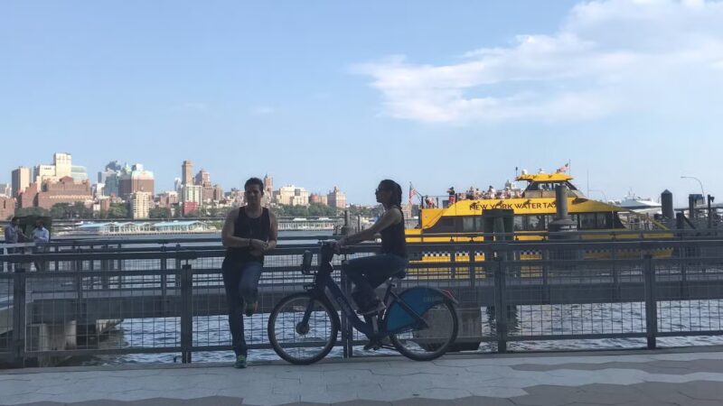 Parks Dog Run - New York, NY