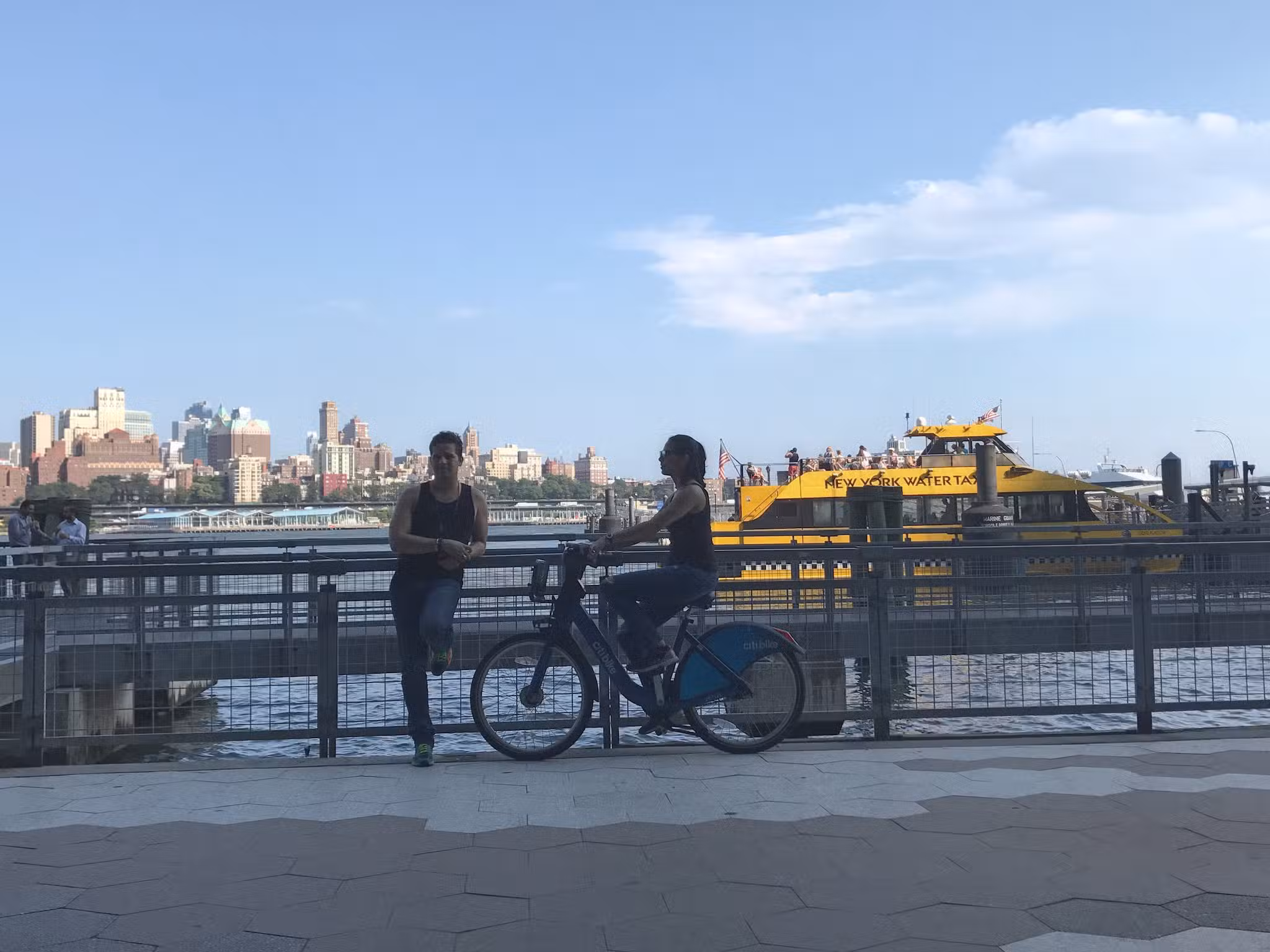 Parks Dog Run - New York, NY