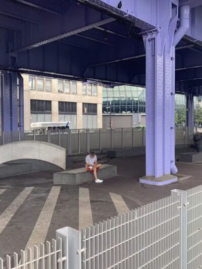 Parks Dog Run - New York, NY