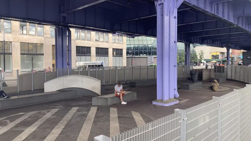 Parks Dog Run - New York, NY