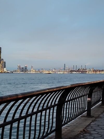 Peter Detmold Dog Run - New York, NY