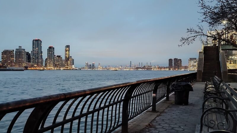 Peter Detmold Dog Run - New York, NY