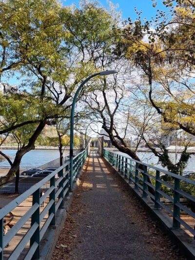 Peter Detmold Dog Run - New York, NY