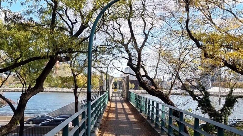 Peter Detmold Dog Run - New York, NY